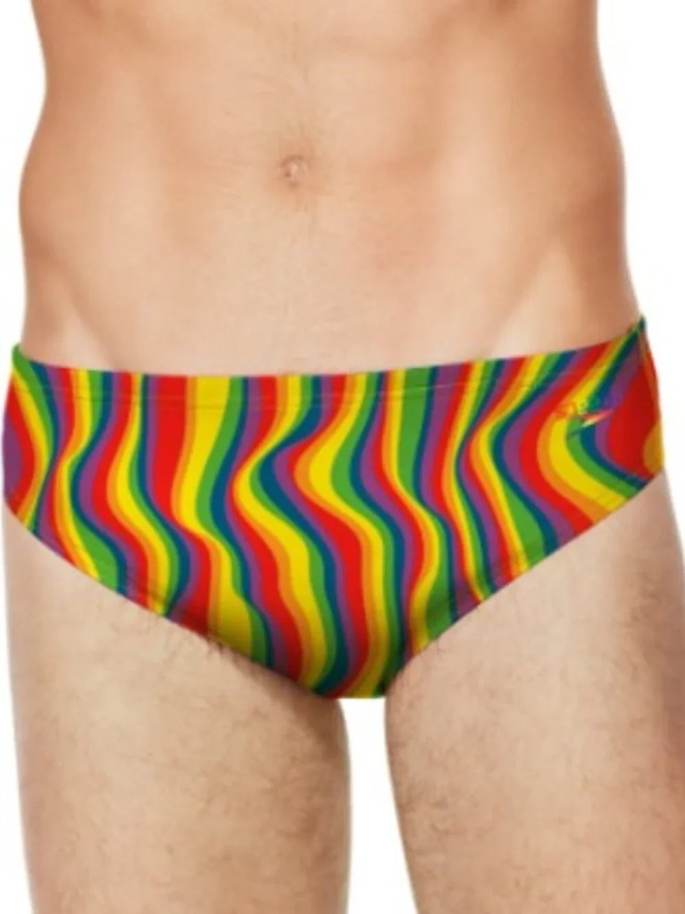 Speedo Endurance racer swimming brief shorts pride rainbow LGBT swim men new 26